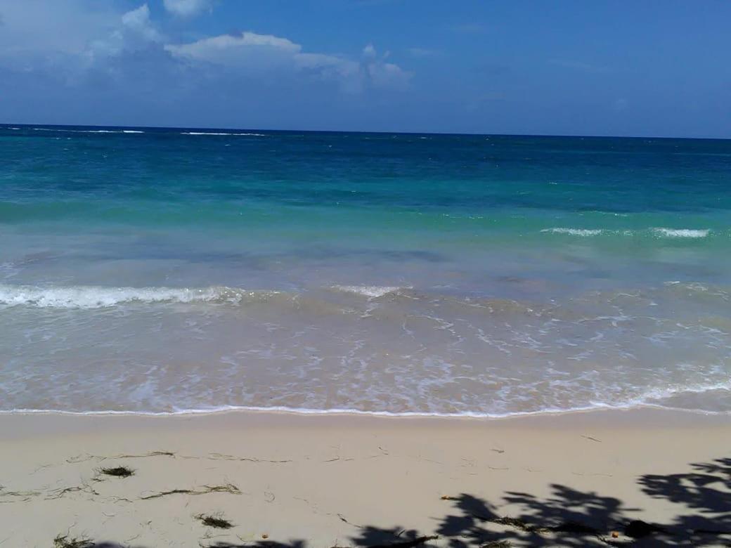 Port Antonio Brian'S Beach House Exterior photo