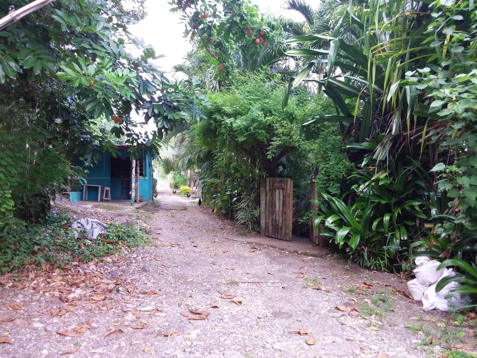 Port Antonio Brian'S Beach House Exterior photo
