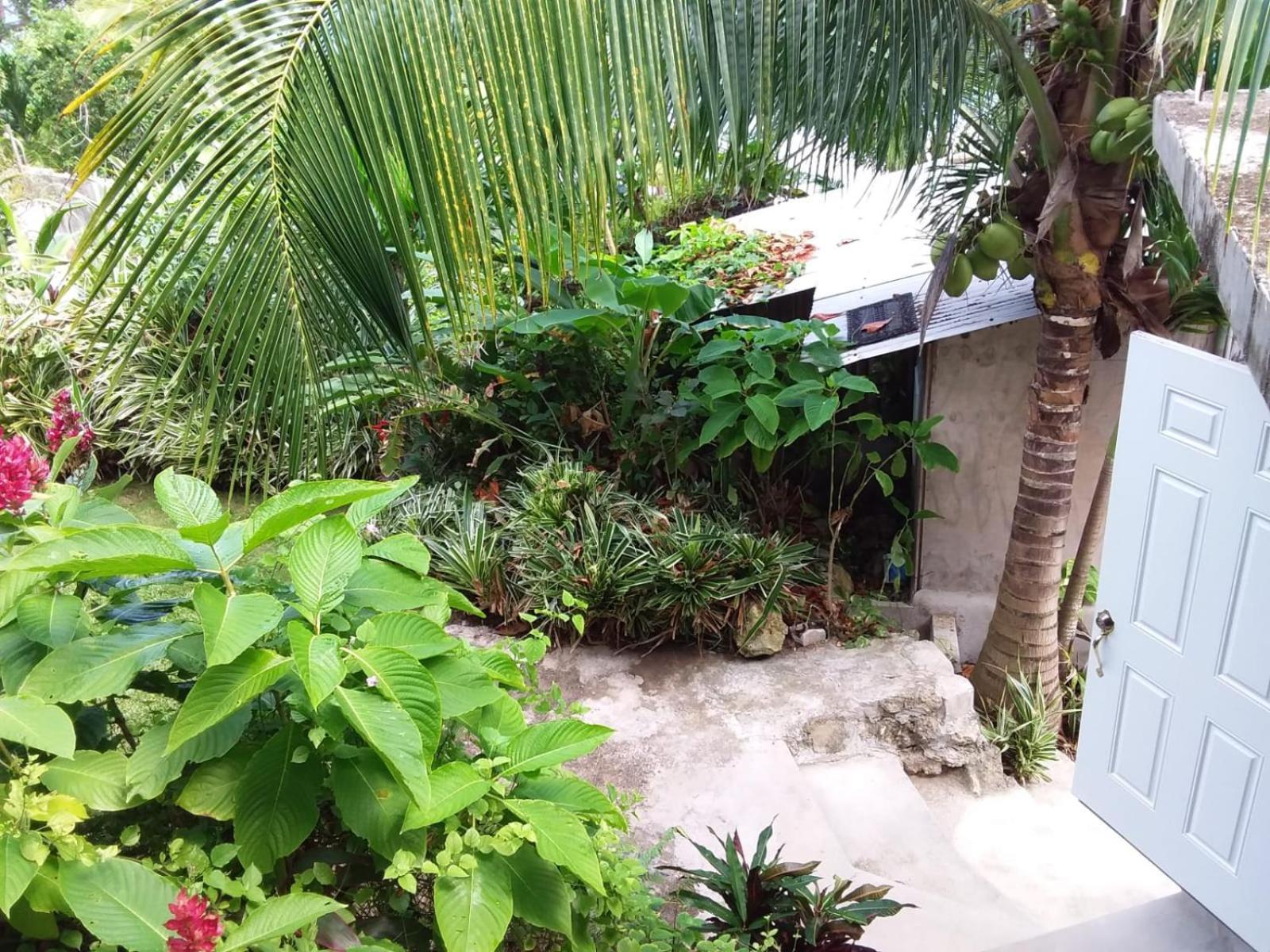 Port Antonio Brian'S Beach House Exterior photo